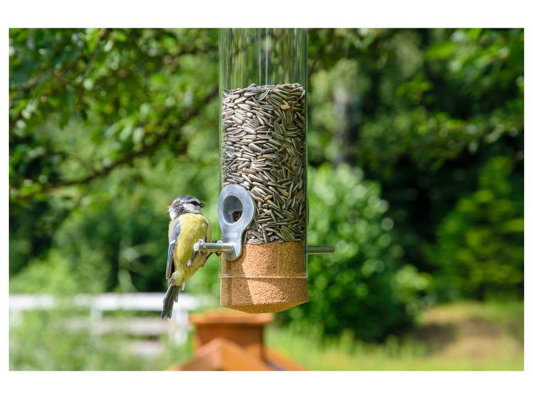 dobar Futterspender »Premium-Pickbar«, aus Echtglas Top Angebot