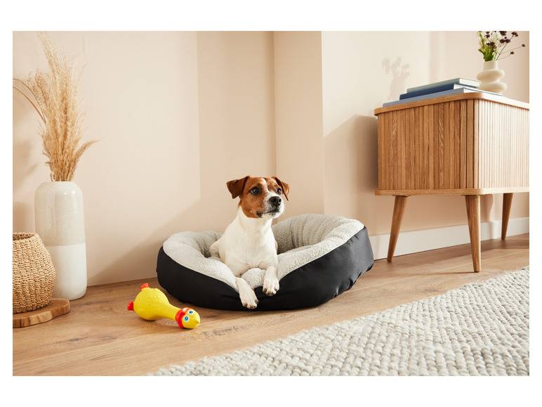 zoofari® Hundebett, mit kuscheligem Plüsch Neuheiten