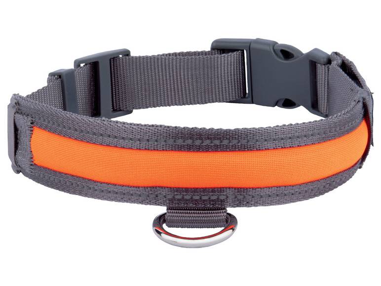 zoofari® Hundehalsband, mit LED VIP-Rabatte