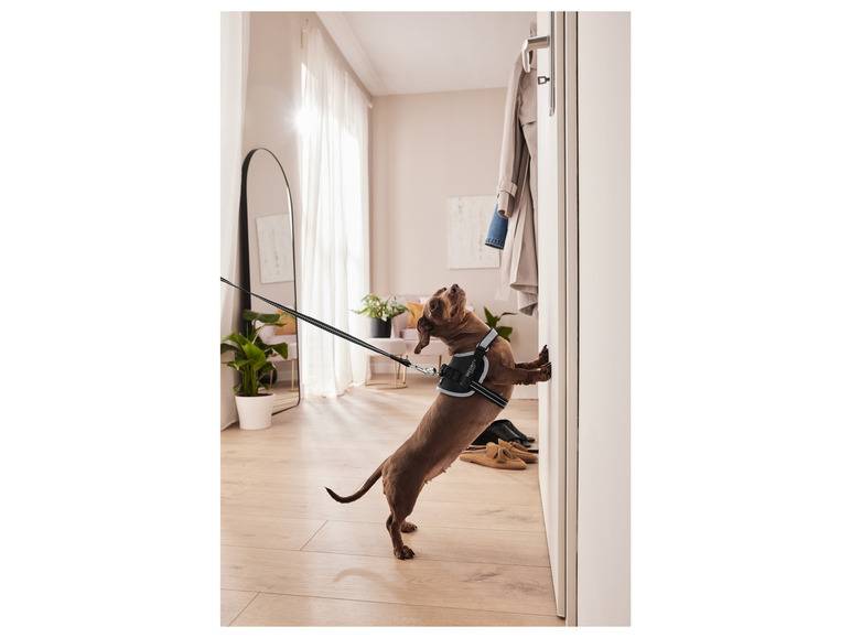 zoofari® Hundegeschirr, mit Klettstickern Tiefpreis