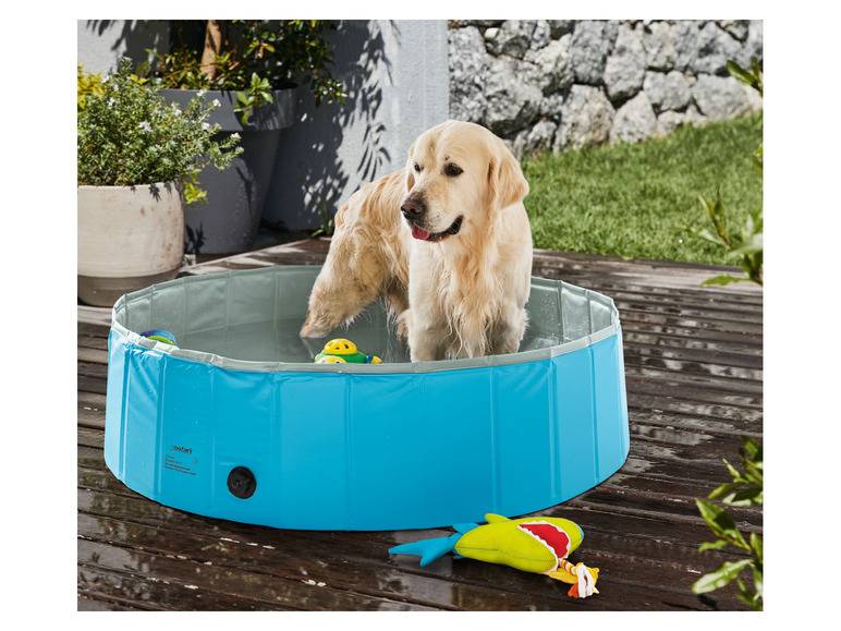 zoofari® Hundepool, Ø 120 x H 30 cm, mit Antirutsch-Boden JETZT KAUFEN