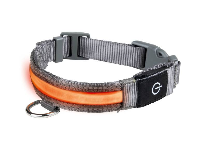 zoofari® LED-Hundeleuchtband, mit wiederaufladbarem Akku Zeitbegrenzte Promotion