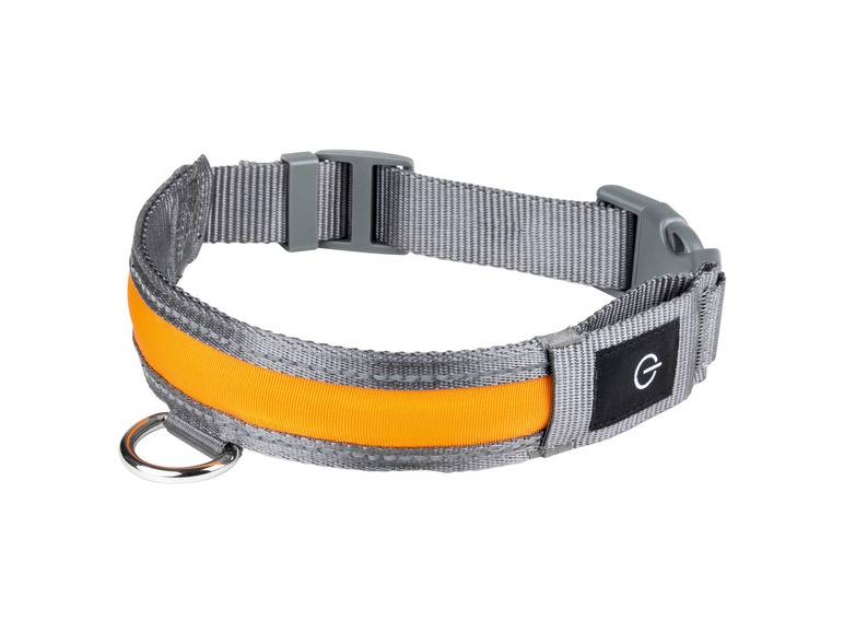 zoofari® LED-Hundeleuchtband, mit wiederaufladbarem Akku Zeitbegrenzte Promotion