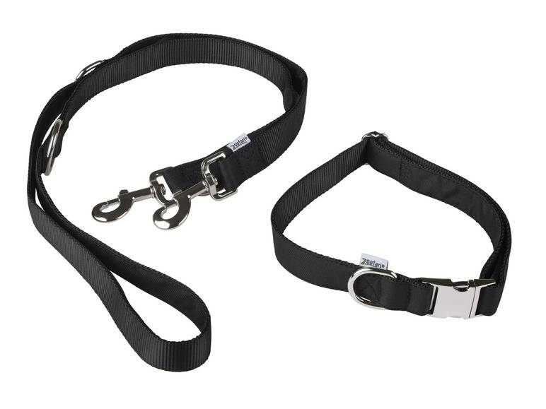zoofari® Hundehalsband mit Hundeleine Vierteljährliche Förderung