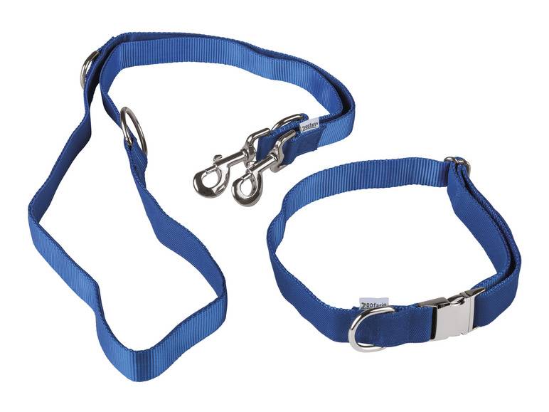 zoofari® Hundehalsband mit Hundeleine Vierteljährliche Förderung