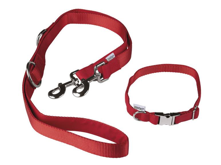 zoofari® Hundehalsband mit Hundeleine Vierteljährliche Förderung