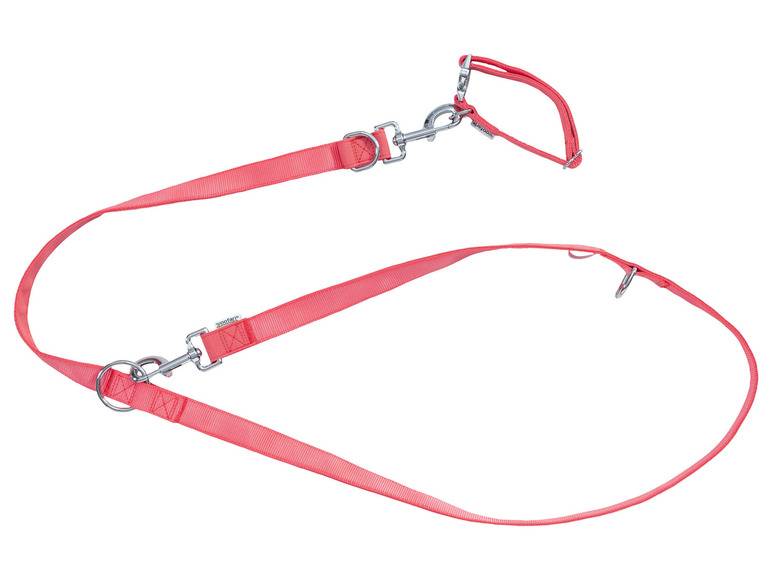zoofari® Hundehalsband und Hundeleine Discount Store für neue Produkte