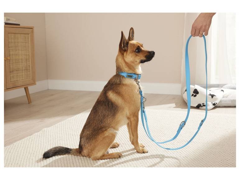 zoofari® Hundehalsband und Leine, 3-fach verstellbar Super Rabatt