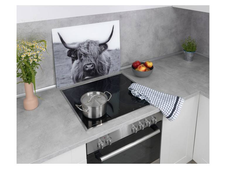 Wenko Glasrückwand, 50 x 60 cm Outlet