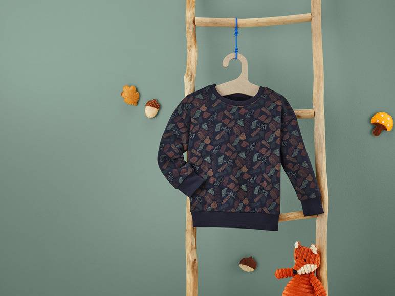 lupilu® Kleinkinder Sweatpullover mit Textildruck Schlussverkauf