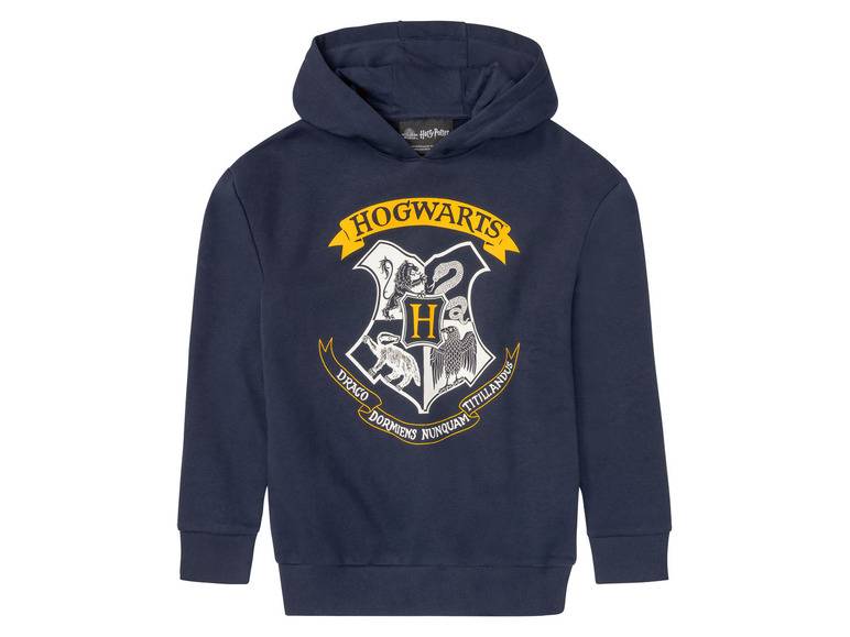 Kinder Jungen Sweatpullover mit großem Print Fabrik Onlineshop