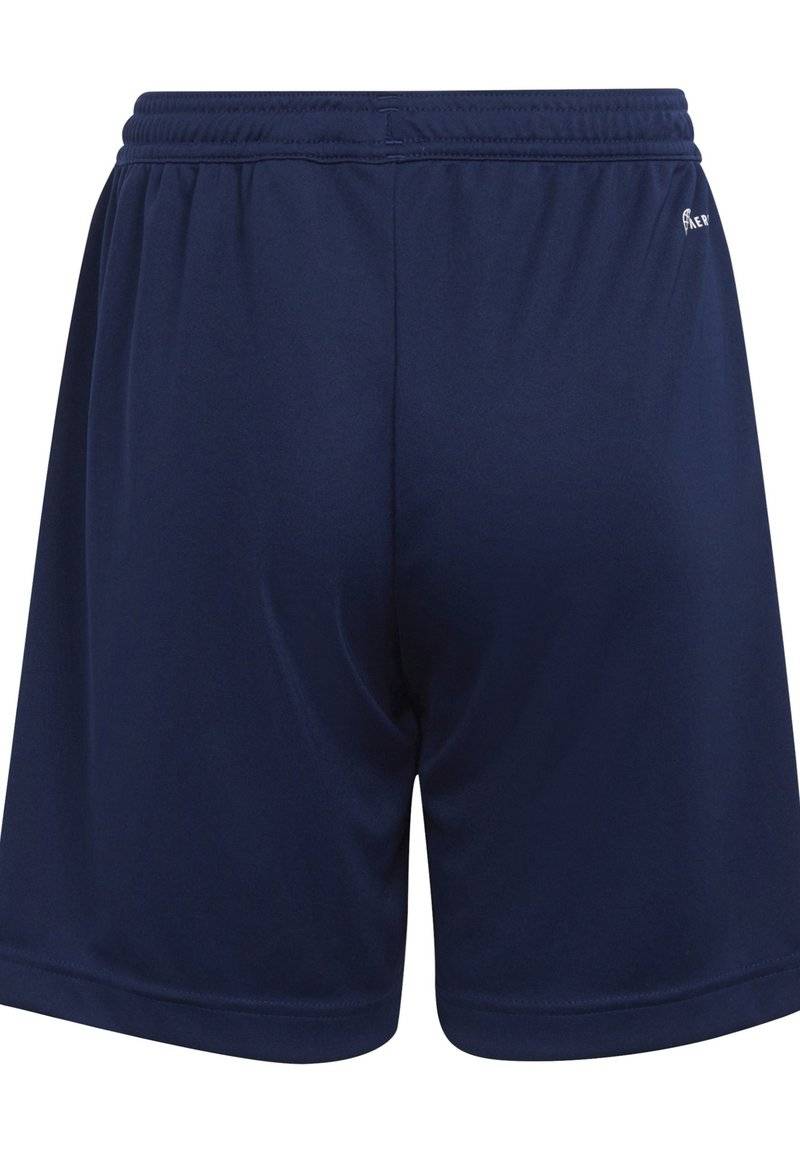 adidas Performance adidas Performance ENTRADA - Sports shorts - blue VIP-Rabatte