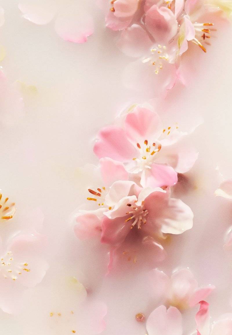 Rituals Rituals FOAMING SHOWER GEL TRAVEL SIZE THE RITUAL OF SAKURA - FLORAL - CHERRY BLOSSOM & RICE MILK - Shower gel Riesige Ersparnisse