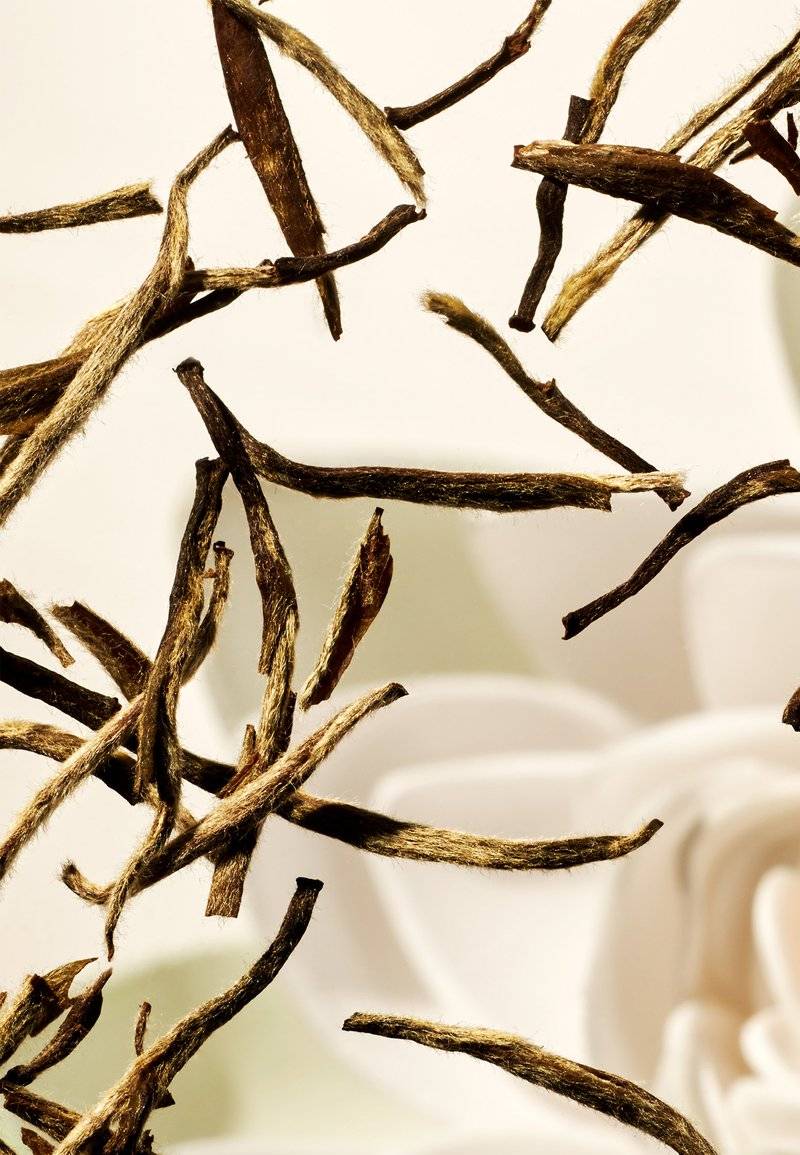 Rituals Rituals CONDITIONER THE RITUAL OF KARMA - DELICATELY SWEET - LOTUS & WHITE TEA - Conditioner Saisonale Angebote