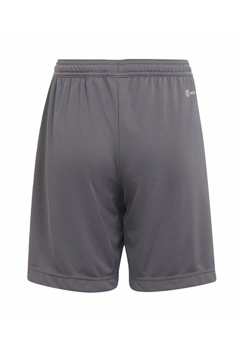 adidas Performance adidas Performance ENTRADA - Sports shorts - grey Saisonale Angebote