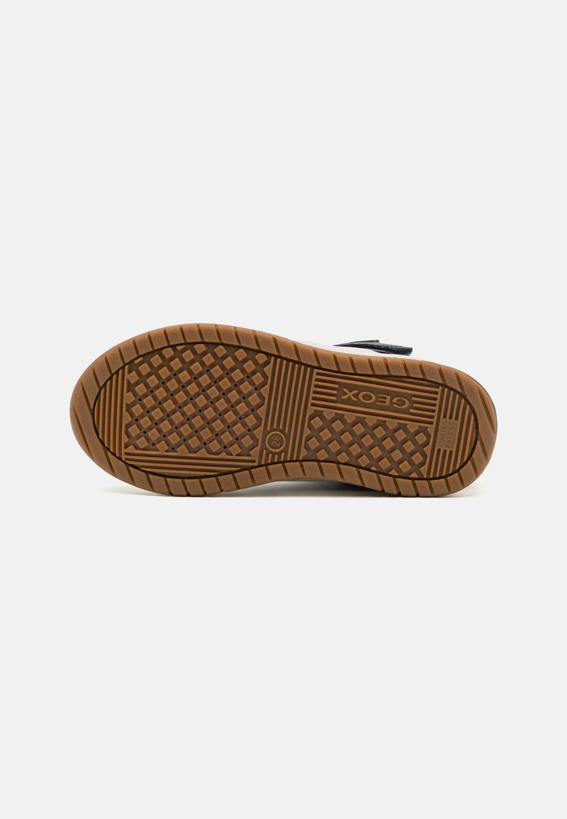Geox Geox PERTH BOY - High-top trainers Zeitbegrenzte Promotion