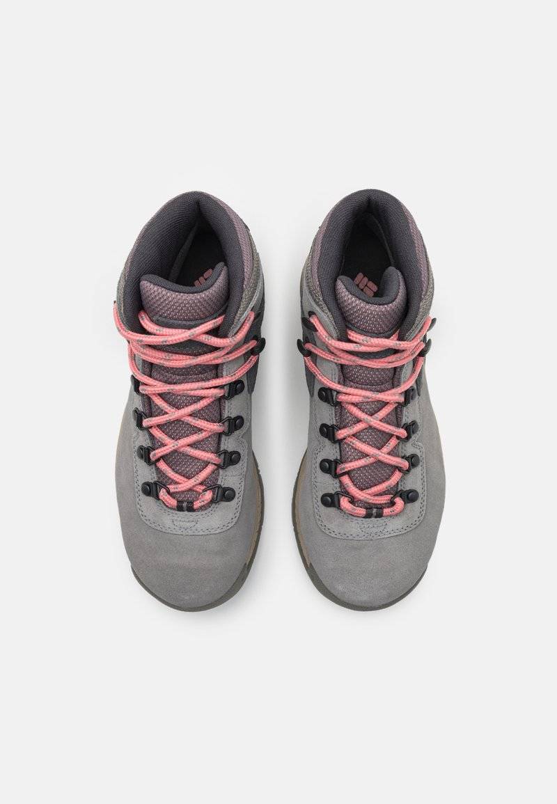 Columbia Columbia NEWTON RIDGE PLUS WATERPROOF AMPED - Hiking shoes Heißer Verkauf