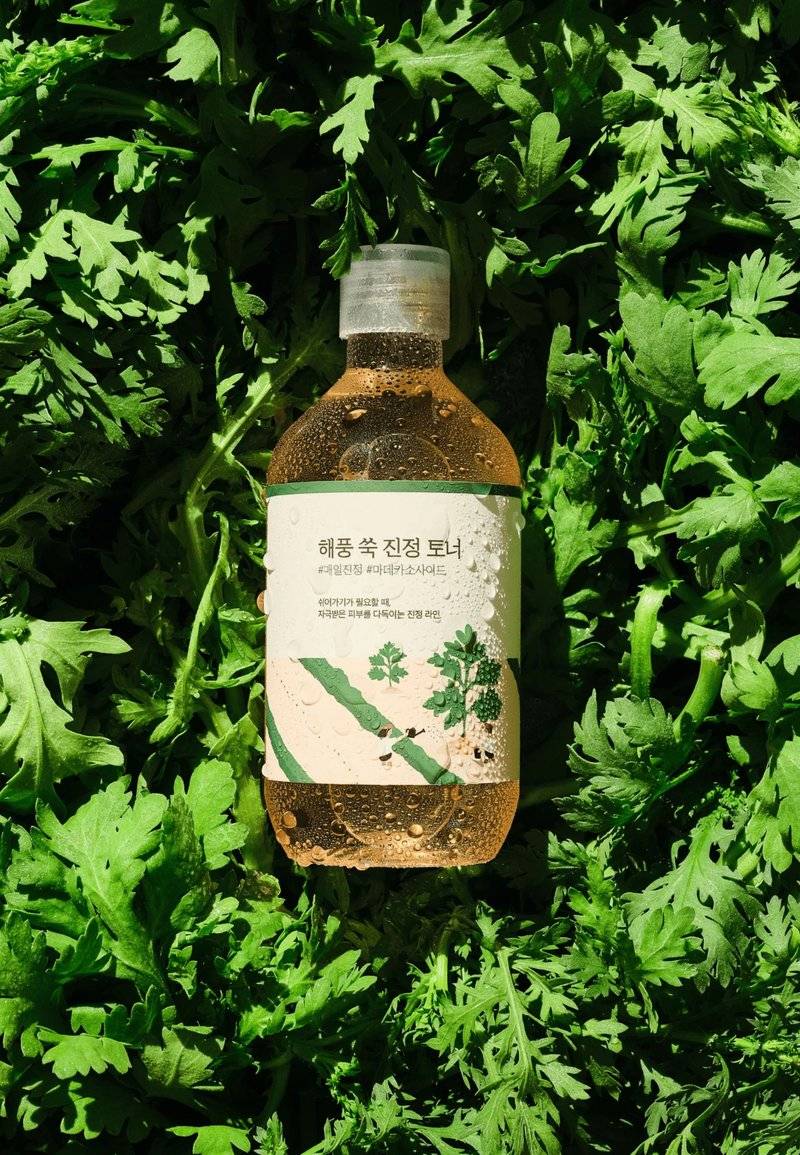 RoundLab RoundLab MUGWORT CALMING TONER - Toner Top Angebot