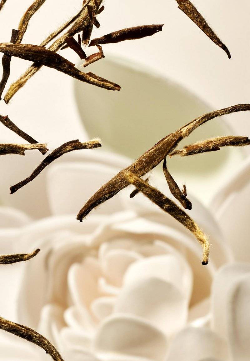 Rituals Rituals AFTER SUN GEL LOTION THE RITUAL OF KARMA - DELICATELY SWEET - LOTUS & WHITE TEA - Aftersun Letzte 3 Tage